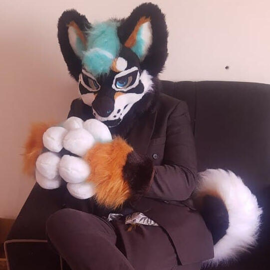 Punk Shibe
