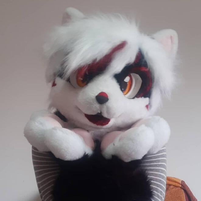 Kemono Kitty